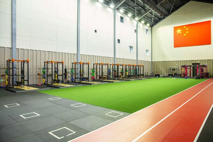 体能训练解决方案-广西星空xk体育