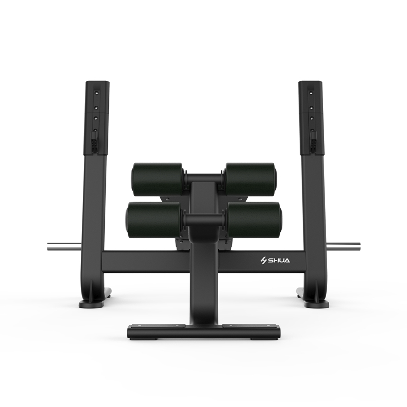 SH-G6872 下斜举重床